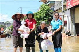 The Lang Son Red Cross Society provides relief aid to residents in That Khe commune. (Photo: VNA)