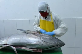 Indonesia grants 0% tariff incentive on tuna exports to Japan