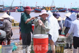 People transport purchased seafood ashore to sell at Giao Hai Fish Market in Giao Phuc commune (Photo: VNA)