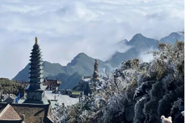 Mount. Fansipan coated in frost in first days of new year