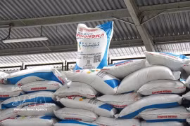 Fertiliser products of PT Pupuk Indonesia (Photo: VNA)