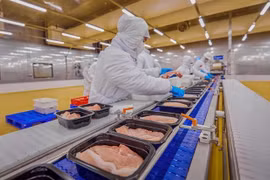 A packaging line of chilled pork in a company located in Ho Chi Minh City (Photo: VNA)