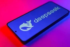 Indonesia to develop new DeepSeek