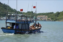 Gia Lai focuses on managing the fishing fleet, and preventing and penalising vessels and fishermen infringing foreign waters - Illustrative image (Photo: VNA)