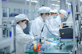 Deputy Minister of Foreign Affairs Nikolay Pavlov and his Vietnamese counterpart Le Thi Thu Hang emphasise the need for expanding cooperation in new fields, including high technology (Illustrative photo: VNA)