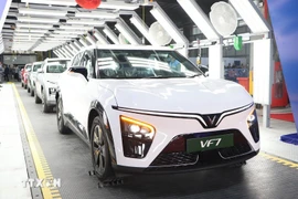 EV models manufactured at VinFast's factory in India (Photo: VNA)