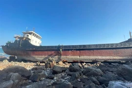 The Chinese cargo ship is stranded on a rocky beach of Ha Mai island, Ngoc Vung commune, Van Don district , the northern province of Quang Ninh. (Photo: VNA)