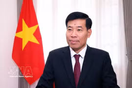 Deputy Minister of Foreign Affairs Nguyen Manh Cuong (Photo: VNA)