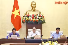 National Assembly Chairman Tran Thanh Man (middle) addresses the session. (Photo: VNA)