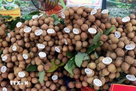 Hung Yen longan is exported to many countries (Photo: VNA)