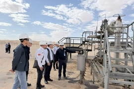The delegation from the Vietnam National Industry-Energy Group visits the BSR-25 wellhead area, the main exploitation well of the Bir Seba oil field project (Photo: petrotimes.vn)