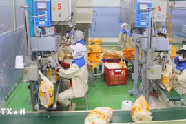 Workers package rice for export at the Thao Son food factory (Photo: VNA)