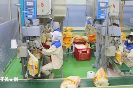 Workers package rice for export at the Thao Son food factory (Photo: VNA)