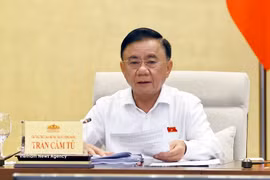 Politburo member, Permanent member of the Secretariat of the Communist Party of Vietnam Central Committee Tran Cam Tu. (Photo: VNA)