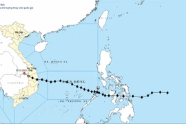 At 4:00 am, the centre of the low-pressure area is located near 14.6 degrees North latitude and 106.8 degrees East longitude, with maximum winds below level 6 (below 39km per hour). (Photo: NCHMF)