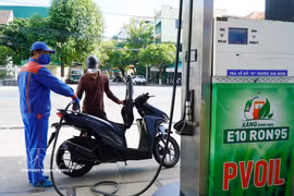 Sales of E10 biofuel gradually reach levels comparable to those previously recorded for conventional RON95 petrol. (Photo: VNA)