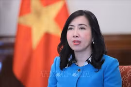 Deputy Minister of Foreign Affairs Le Thi Thu Hang (Photo: VNA)