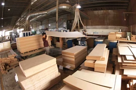 Producing MDF panels for export at Hai Duong MDF Construction and Manufacturing Co., Ltd., in Ho Chi Minh City (Photo: VNA)