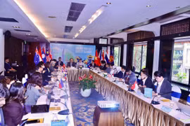 At the Online Product Safety Summit in Hanoi on March 18. (Photo: dms.gov.vn)