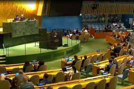 A plenary meeting of the United Nations General Assembly. (Photo: VNA)
