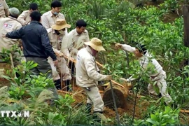 Mines Advisory Group members dispose a bomb in Quang Binh province. (Photo: VNA)