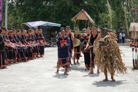 The Space of Gong Culture in the Central Highlands is recognised by UNESCO in 2005 as a Masterpiece of the Oral and Intangible Heritage of Humanity (Photo: VNA)