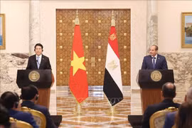 Vietnamese State President Luong Cuong (L) and Egyptian President Abdel Fattah El-Sisi meet with the press to inform the outcomes of their talks on August 5 in Cairo. (Photo: VNA)