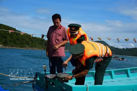 A border guard checks VMS on a fishing boat. (Photo: VNA)