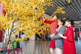 The Da Nang New Year Festival 2026 is set to take place from December 30, 2025 to January 3, 2026 (Source: Da Nang Department of Culture, Sports and Tourism)