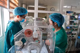 Caring for a newborn (Photo: VietnamPlus)