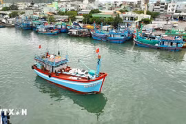 Across the Mekong Delta, provinces are intensifying interprovincial coordination and information-sharing on vessels identified as high-risk for violating fishing regulations. (Illustrative image: VNA)