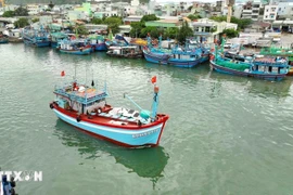 Vinh Long currently has 4,628 registered fishing vessels, 4,450 of which are licenced for fishing, accounting for 96.2%. (Illustrative image: VNA)