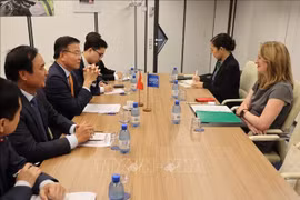 Deputy Prime Minister Le Thanh Long (second, left) meets with Amy Pope, Director General of the International Organisation for Migration on July 30. (Photo: VNA)
