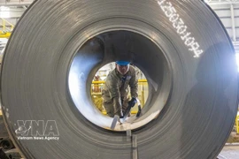 Steel products of Hoa Phat Group. (Photo: VNA)