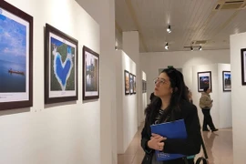 A visitor at the exhibition. (Photo: VNA)