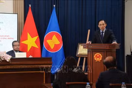 Politburo member and Minister of Foreign Affairs Le Hoai Trung, Special Envoy of Party General Secretary To Lam, speaks at a meeting with staff of the Vietnamese Embassy and representatives of the Vietnamese community in Russia on February 25. (Photo: VNA)