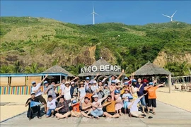 Tourists in Binh Dinh (Photo: VNA)