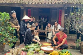 Foreign tourists wrap 'banh chung' as part of “Tet Lang Viet” programme. (Photo: VNA)