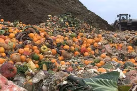 Indonesia in need of solutions to food loss and waste problem