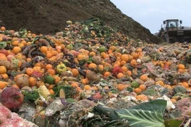 Indonesia in need of solutions to food loss and waste problem