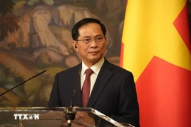 Deputy Prime Minister Bui Thanh Son. (Photo: VNA)