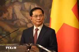 Deputy Prime Minister Bui Thanh Son. (Photo: VNA)