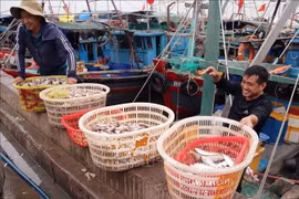 Ngoc Hai fishing port in Hai Phong city (Photo: VNA)