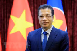 Vietnamese Ambassador to Russia Dang Minh Khoi (Photo: VNA)