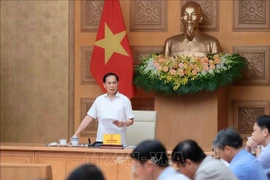 Deputy Prime Minister Bui Thanh Son speaks at the conference on September 11. (Photo: VNA)