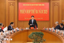 State President Luong Cuong addresses the third meeting of the Central Steering Committee for Judicial Reform in Hanoi on December 25. (Photo: VNA)