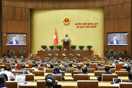 Legislators are expected to adopt amended or new laws in taxation, population, public health, planning, cybersecurity, national secrets protection, defence industry, oversight activities of elected bodies, e-commerce, and multiple education-related laws (Photo: VNA)