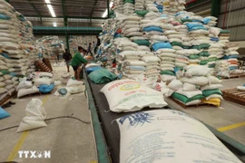 Rice for export at Hanh Phuc rice factory in An Giang province (Photo: VNA)