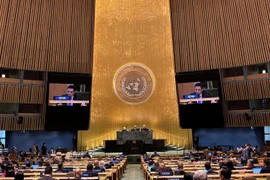 Ambassador Dang Hoang Giang, Permanent Representative of Vietnam to the UN addresses the session (Photo: VNA)