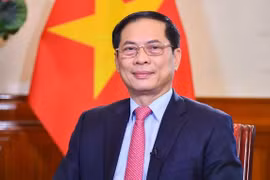 Deputy Prime Minister and Foreign Minister Bui Thanh Son (Photo: VNA)